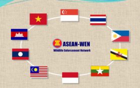 asean wildlife network