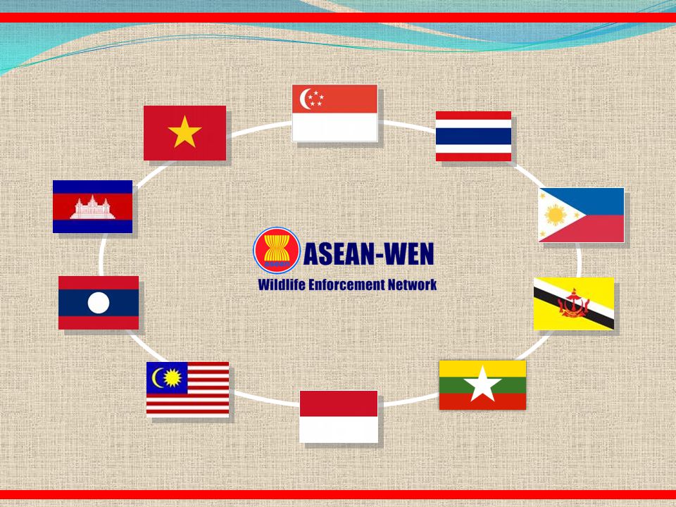 asean wildlife network