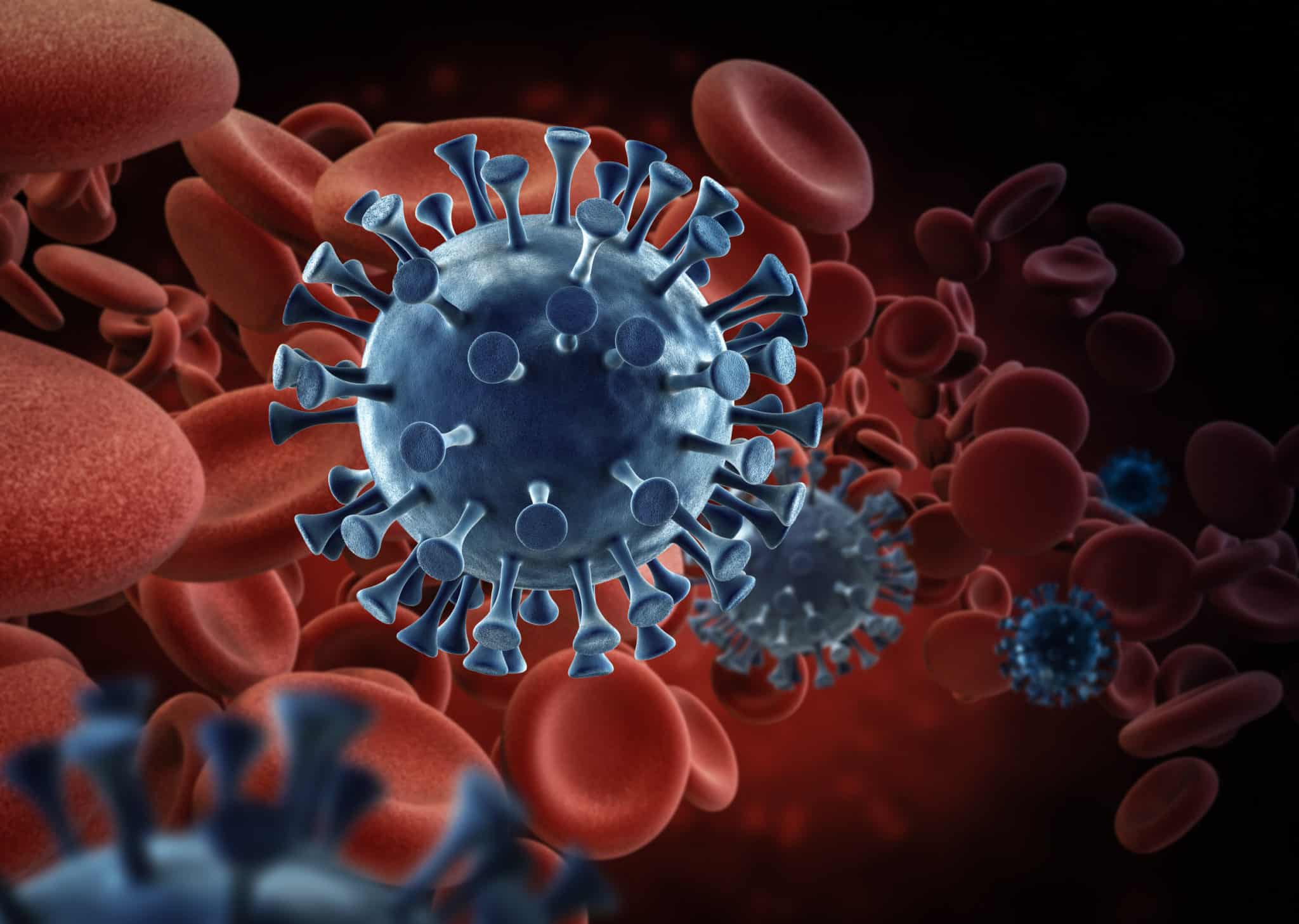 coronavirus cell in blood