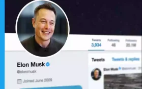 elon musk twitter