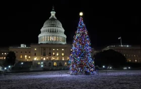 US Capitol Christmas Tree