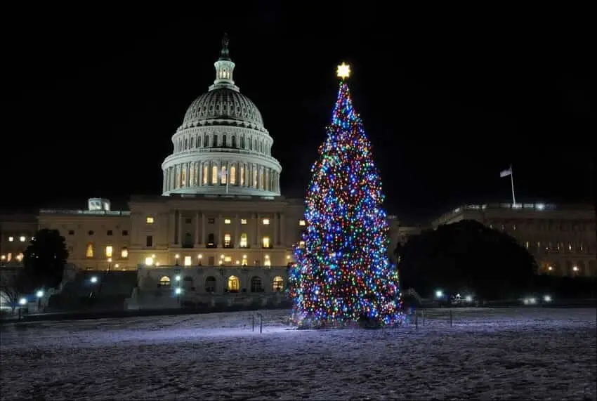 - This Nation US Capitol Christmas Tree