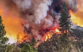 oak fire yosemite