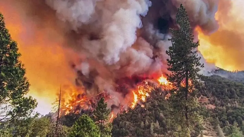 - This Nation oak fire yosemite