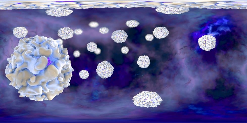 polio virus