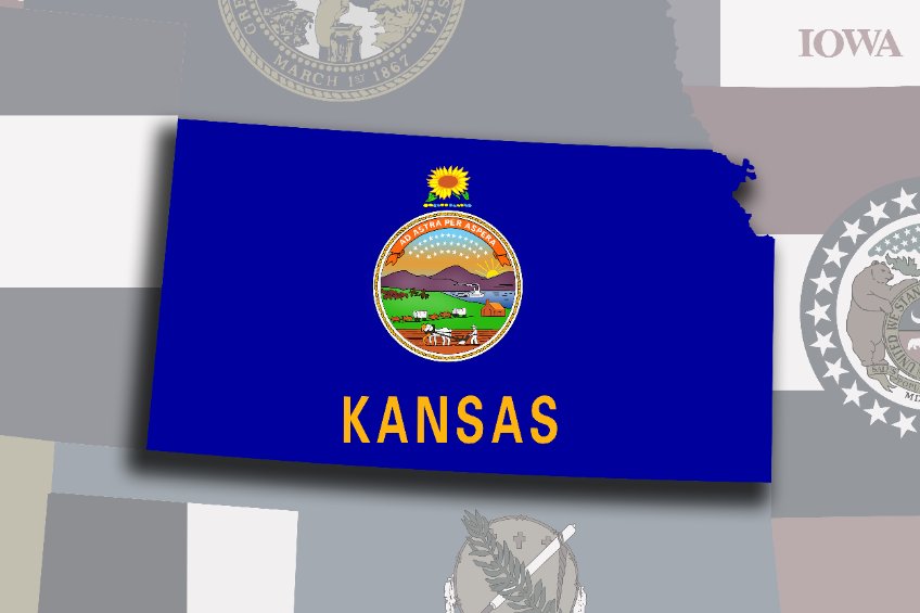 Kansas State Flag