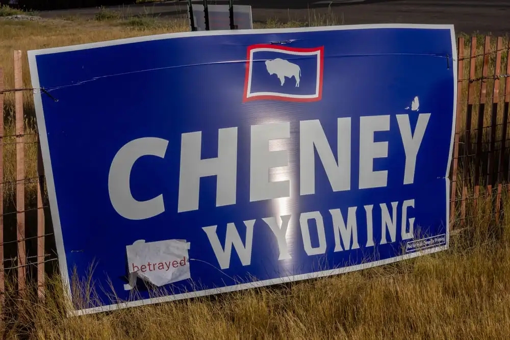 1 - This Nation Cheney sign
