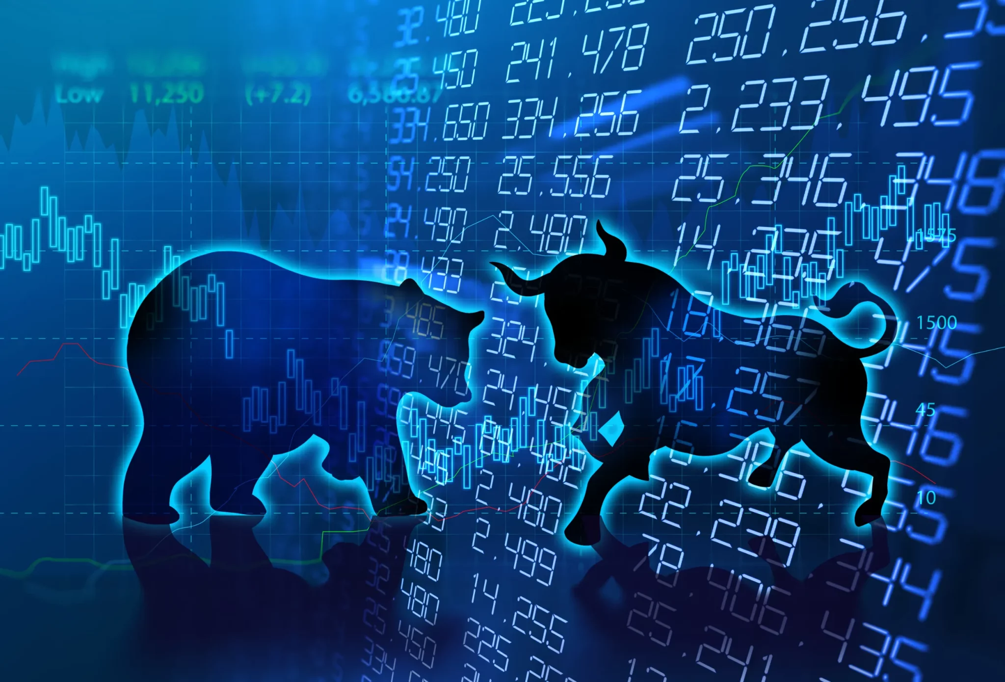 - This Nation bear market
