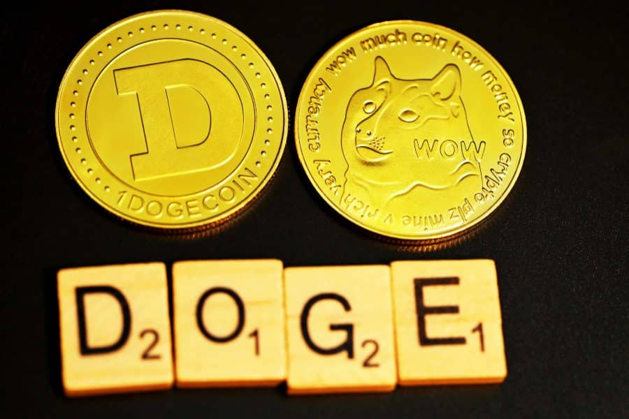 Understanding The Hype Behind Shiba Inu Token