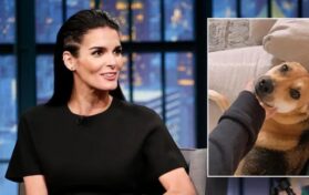 Angie Harmon Claims Instacart Delivery Driver Fatally Shot Her Dog