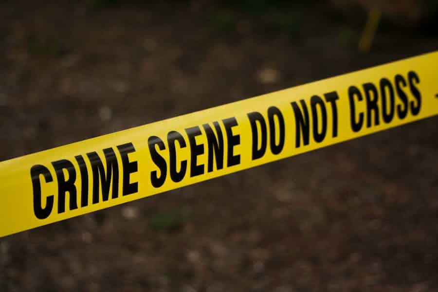 Florida Crime Rate Vs New York