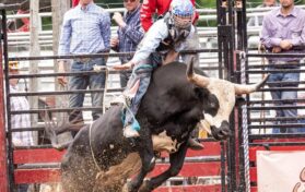 Trading the Bull Flag Breakout Key Techniques and Tips