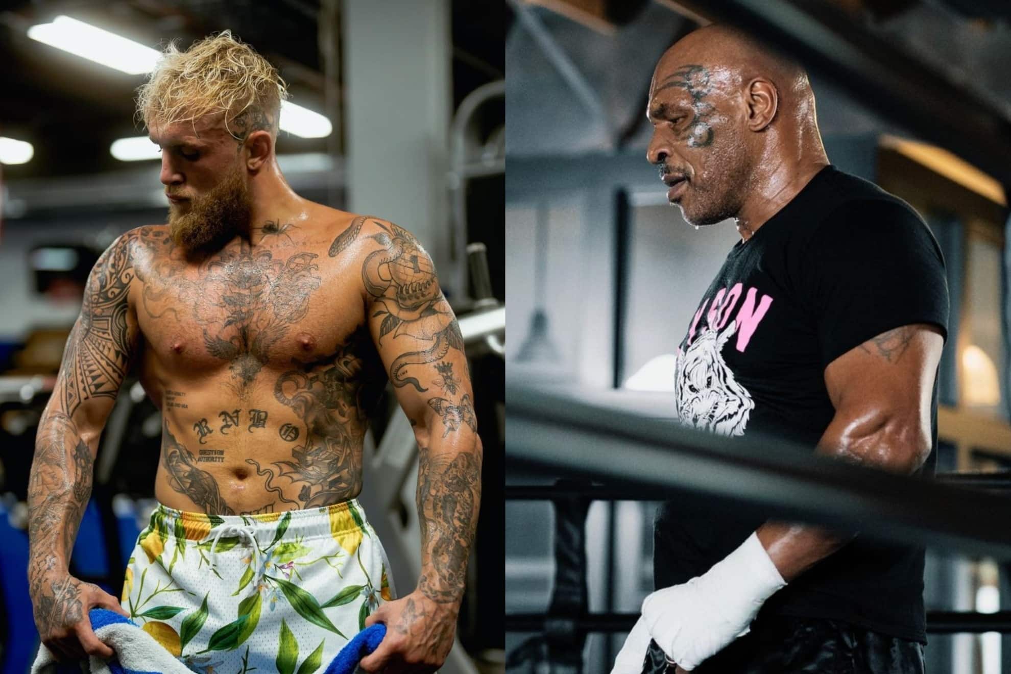 Jake Paul Training