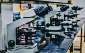 Potential Implications in Research and Beyond