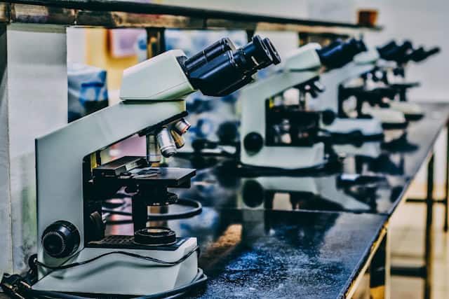 Potential Implications in Research and Beyond