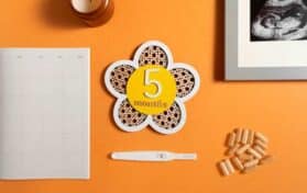 Things That Can Cause a Miscarriage in the First 8 Weeks
