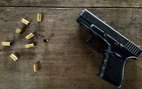 U.S. Gun Laws