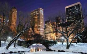 Winter in NYC