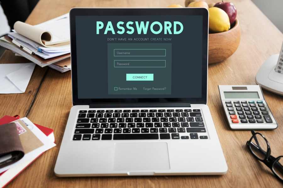 What Does a Password Manager Do
