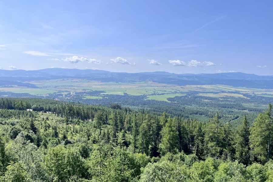 Panorama of World Alaikas